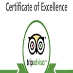 How is about clients reviews about us on Tripadvisor