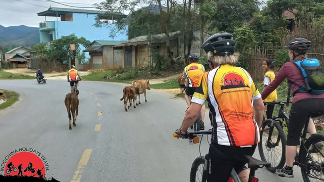 12 Days Vietnam Mountain Bike To Halong Bay