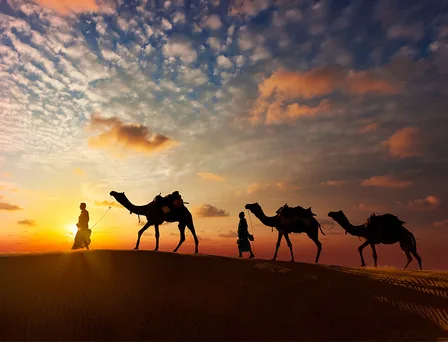 Indian desert
